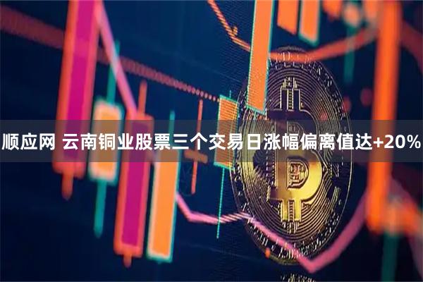 顺应网 云南铜业股票三个交易日涨幅偏离值达+20%