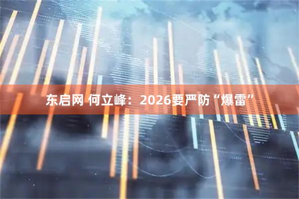 东启网 何立峰：2026要严防“爆雷”