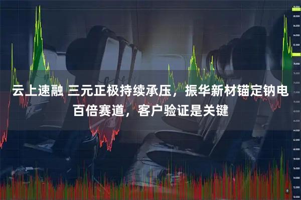 云上速融 三元正极持续承压，振华新材锚定钠电百倍赛道，客户验证是关键